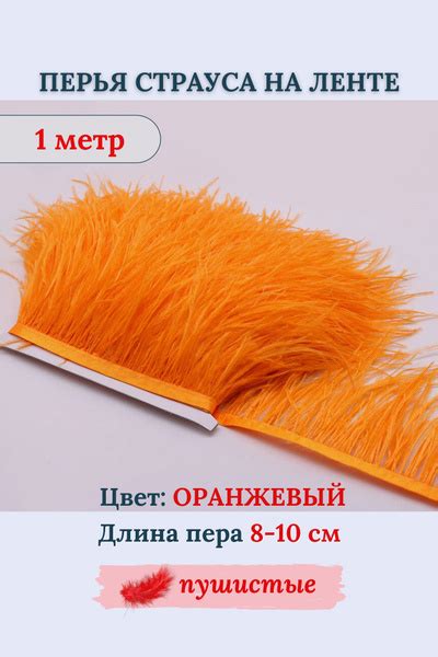 Перья страуса на ленте 1 м купить на OZON по низкой цене (1715275448)