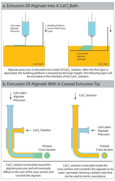 A Comparative Analysis Of Extrusion Based Approaches Toward The