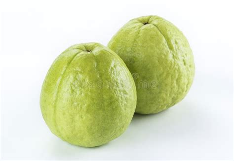 Big Guava On White Background Stock Photo Image Of Fresh Food 207921482