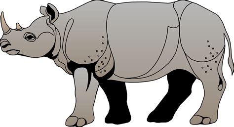 gambar hewan png gambar hewan