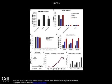 Disruption Of The BCL 11 A Erythroid Enhancer