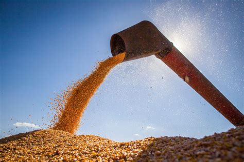 CNA entrega ao Governo propostas para o próximo Plano Agrícola e