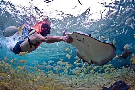 Everything You Need To Know About Visiting Stingray Beach In 2023