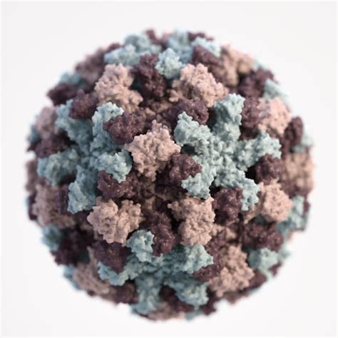 Norovirus Concise Medical Knowledge