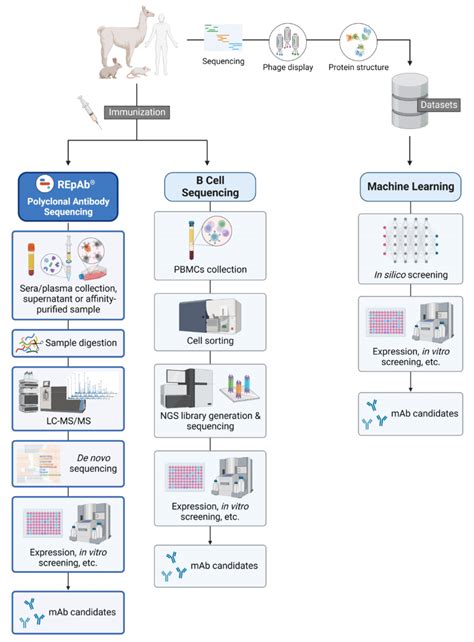 Technologies For Antibody Discovery And Generation 2023 Report