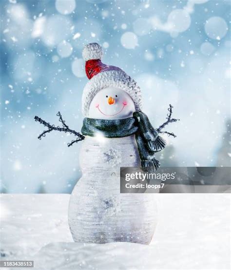 12,016 Merry Christmas Snowman Stock Photos, High-Res Pictures, and ...