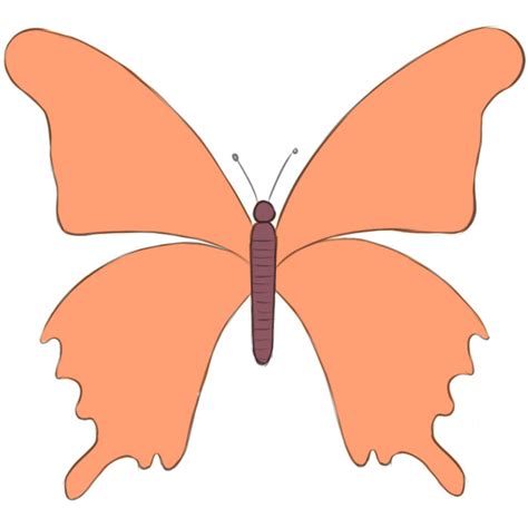 How To Draw A Butterfly Very Easy