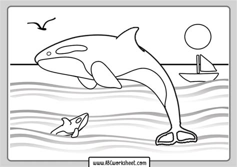 orca whale coloring pages