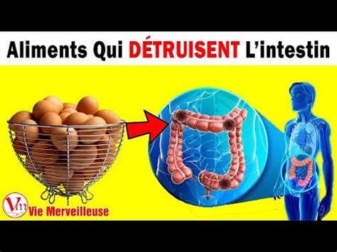 8 Aliments Qui Détruisent Votre Intestin Votre Flore Intestinale Et Ce