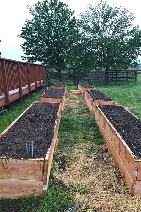 How To Build Hugelkultur Raised Garden Beds Roots And Boots