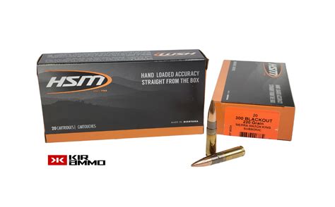 Hsm 300 Blackout Same Day Shipping 220 Grain Sierra Matchking Subsonic