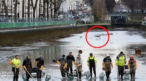 A Group Of People Standing On Top Of A River Holding Shovels And Buckets