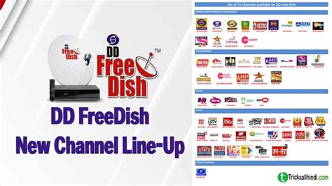 DD Free Dish New Channel Add कस कर Dd Free Dish Channel List Today