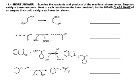 Solved 13 Short Answer Examine The Reactants And Products Of The