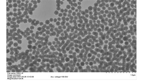 150nm介孔二氧化硅微球 孔径15 20nm 分散液 杭州新乔生物科技有限公司