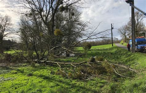 Temp Te Ciaran Un Chauffeur Routier D C De Apr S La Chute Dun Arbre