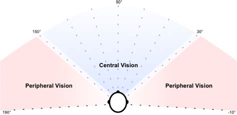 Illustration Of Central Vision And Peripheral Vision Download