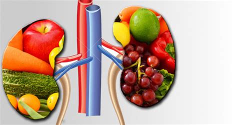 La importancia de una adecuada nutrición en la enfermedad renal II We