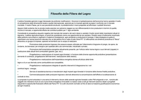 Filiera Del Legno Businessplan Ppt