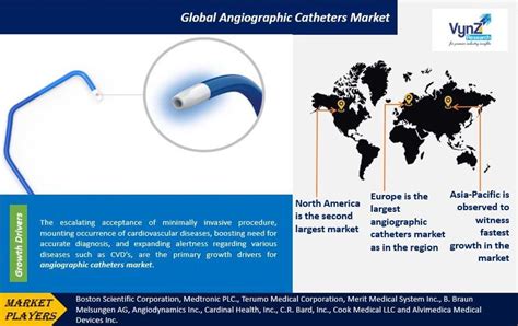 Angiographic Catheters Market Sizeshare And Demand 2030