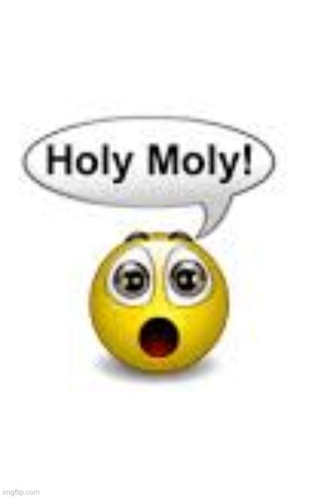 Emoji Holy Moly Blank Template Imgflip