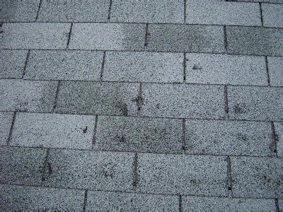 How to Identify Hail Damage on Your Roof & Shingles | Roof Maxx