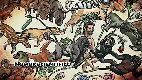 Todo Sobre El Homo Sapiens Ciencia Youtube