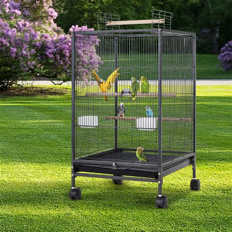 Williston Forge Inch Wrought Iron Bird Cage With Play Open Top And