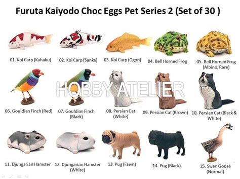 Super Rare Furuta Kaiyodo Choco Eggs Pet Series Set Of Hobbies