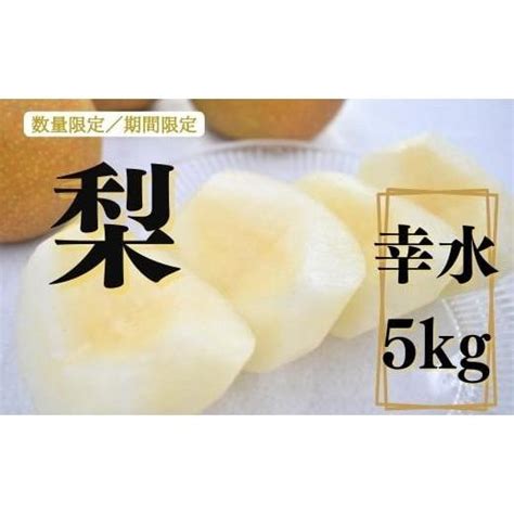 ふるさと納税 茨城県 鉾田市 梨（幸水）5kg×1箱 幸水 6034980ふるさとチョイス 通販 Yahooショッピング