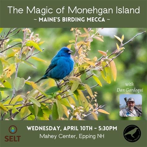 The Magic Of Monhegan Island Maine S Birding Mecca Lead With Nature