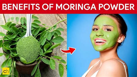 From Lowering Cholesterol To Improving Skin And Hair 9 Health Benefits Of Moringa Powder