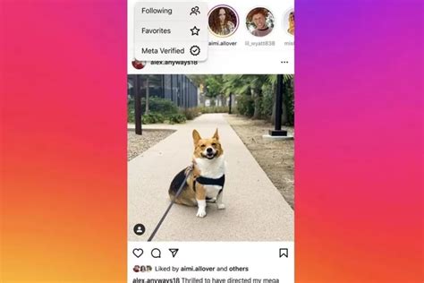 Instagram Akan Hadirkan Fitur Meta Verified Dan Layanan Berlangganan