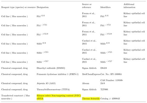 Non Targeting Control Silencer Select Sirna Thermo Fisher Bioz