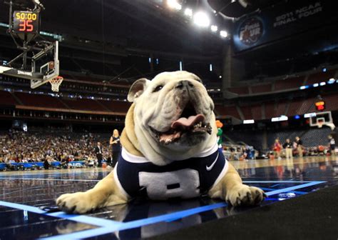 Butler Bulldogs live mascot passes away - The Sports Bank