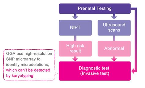 Non Invasive Prenatal Testing Nipt Gga Corp