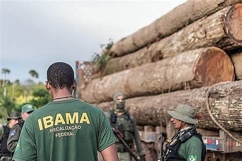 Amea A No Ibama Novo Chefe Trabalhou Para Desmatadores E Pode Geral