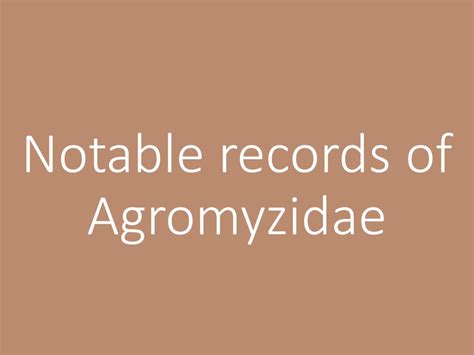 Rare Species Reported Agromyzidae