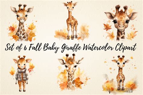 Fall Baby Giraffe Watercolor Clipart Graphic By Pcudesigns Creative