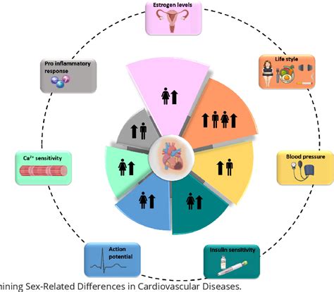 Figure 1 From Sex And Gender Differences In Cardiovascular Diseases