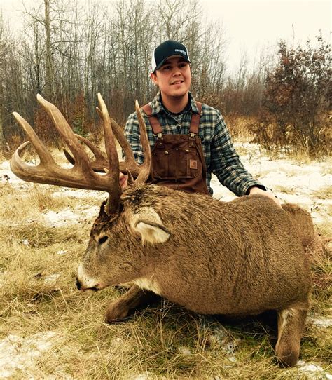 Alberta Whitetail Deer Hunts Timber King Outfitting