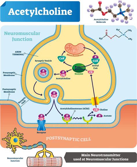 Polyhydroxy Fullerenes As Safe Emergency Treatment For Op Poisoning