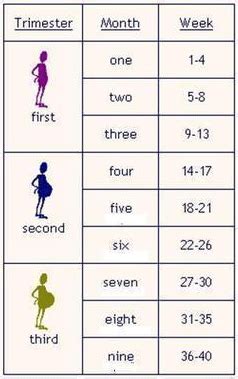 Pregnancy after Preemie: Third Trimester???