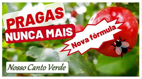 Não deixe as PRAGAS acabarem sua Plantação de ACEROLA Aprenda