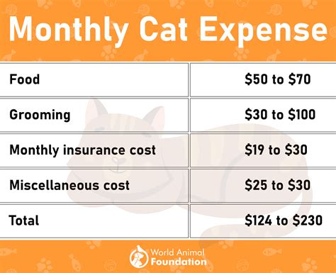 How Much Does A Cat Cost Per Month Roughly At Wilfred Zimmerman Blog