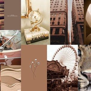 Boujee Light Brown Aesthetic Photo Collage Kit Of Pieces Etsy