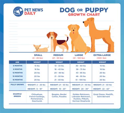 Dog (or Puppy) Growth Chart: How Big Will Your Puppy Get? - Pet News Daily