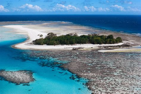 Life Around Us: The Great Barrier Reef - Australia Amazing Places