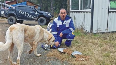 Amanos Dağları ndaki Hayvanlar İçin Yem Bırakıldı Haberler