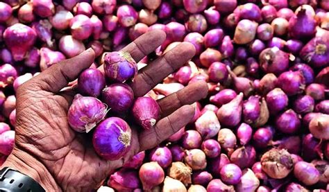 India Allows Export Of Onions To 5 Countries Including Bangladesh